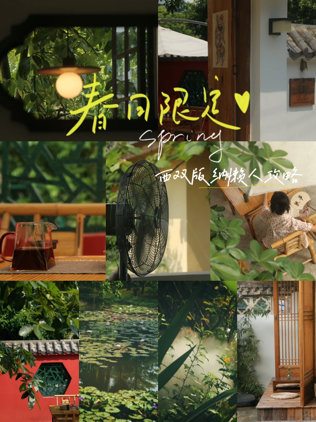 西双版纳慵懒三日游🍃建议收藏‼️
在云南旅居几年，一直认为云南是一个很值得多次...