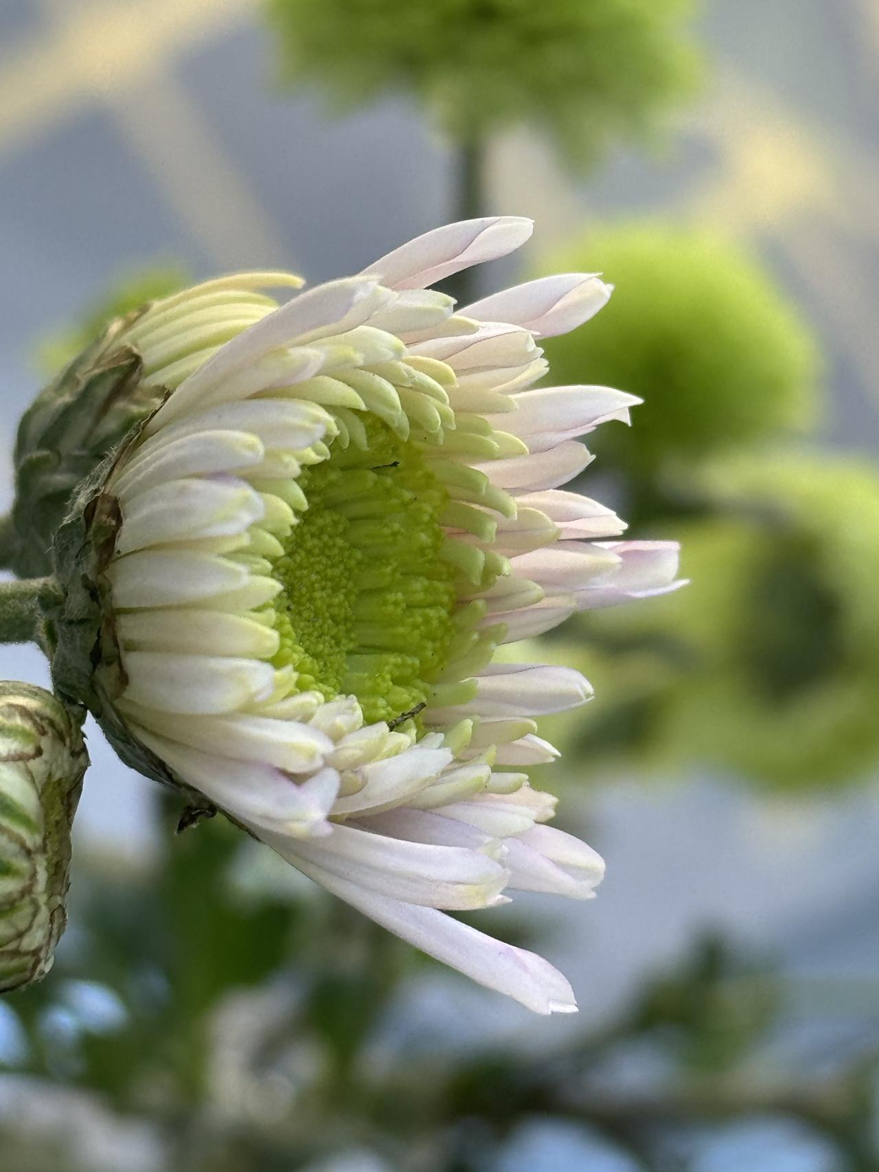 人往高处走，水往低处流。就看选择