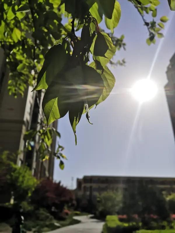 春阳暖暖地爬进窗台，懒猫翻身打个呵欠，日子软得像晒化的糖。