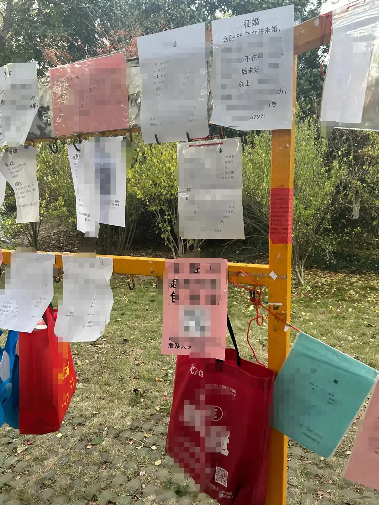 二创快把原创给创“死”了，看得出来Tim也是深深的无力感。没什么好办法，还是尽量