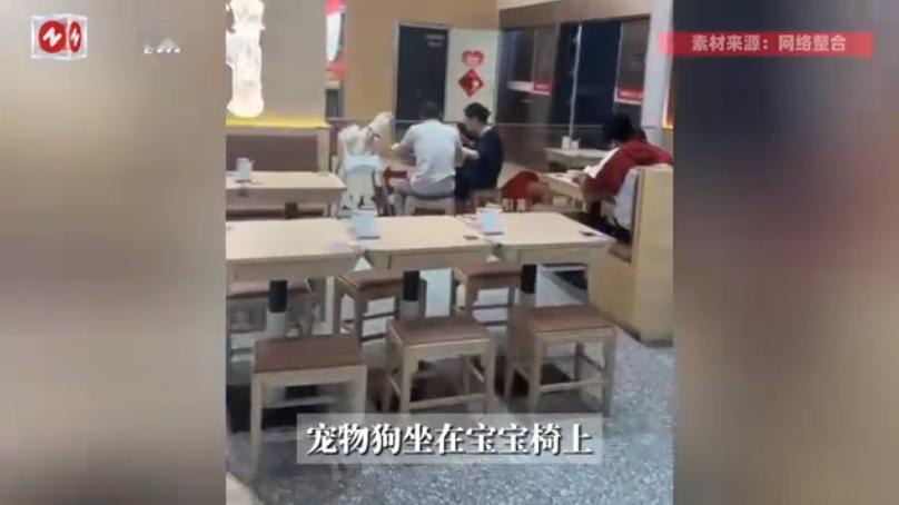 “真当儿子养了？”10月17日报道，福建福州一对情侣带着宠物狗在餐厅吃饭，二人趁