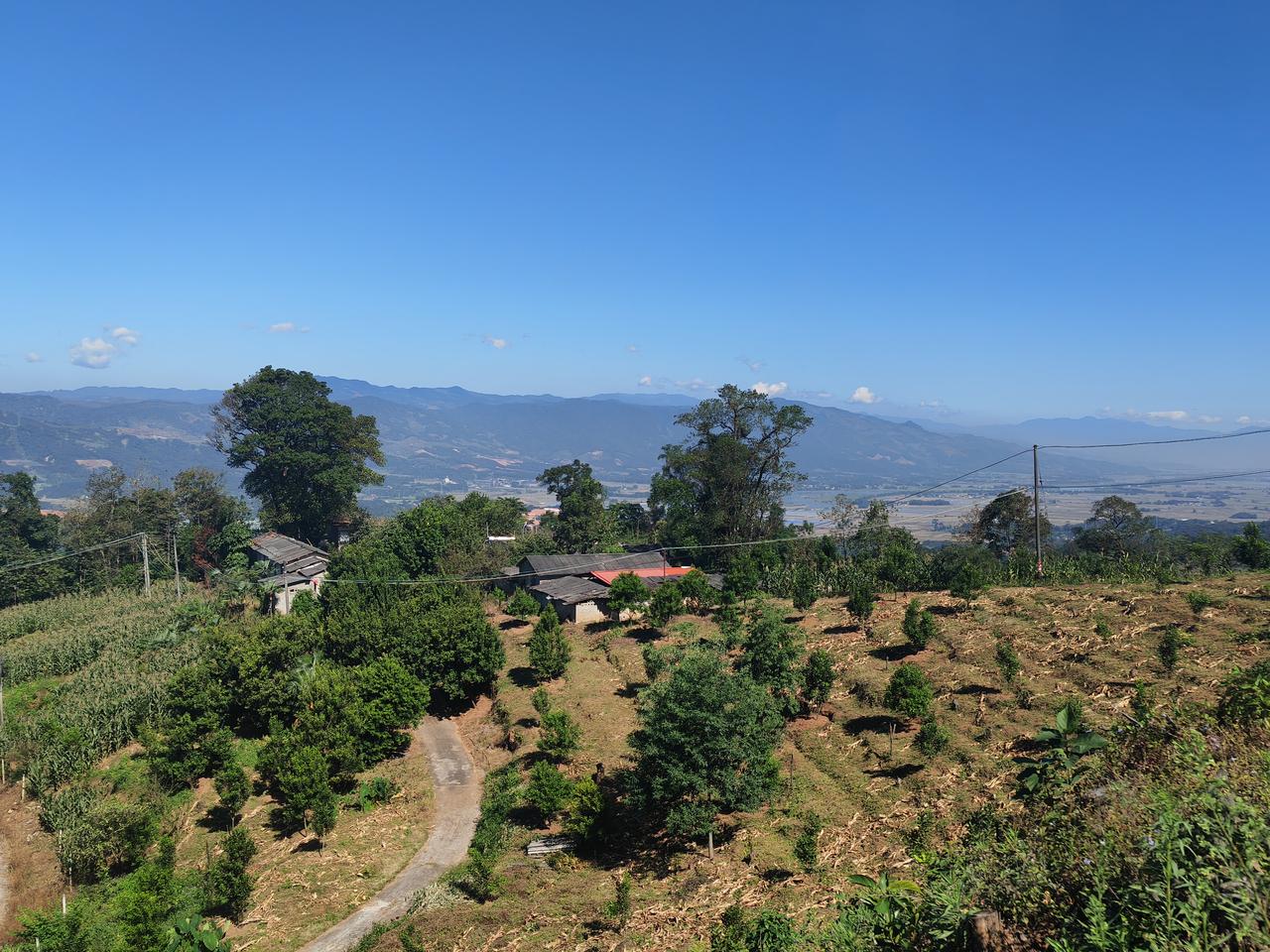 我的家乡在山里