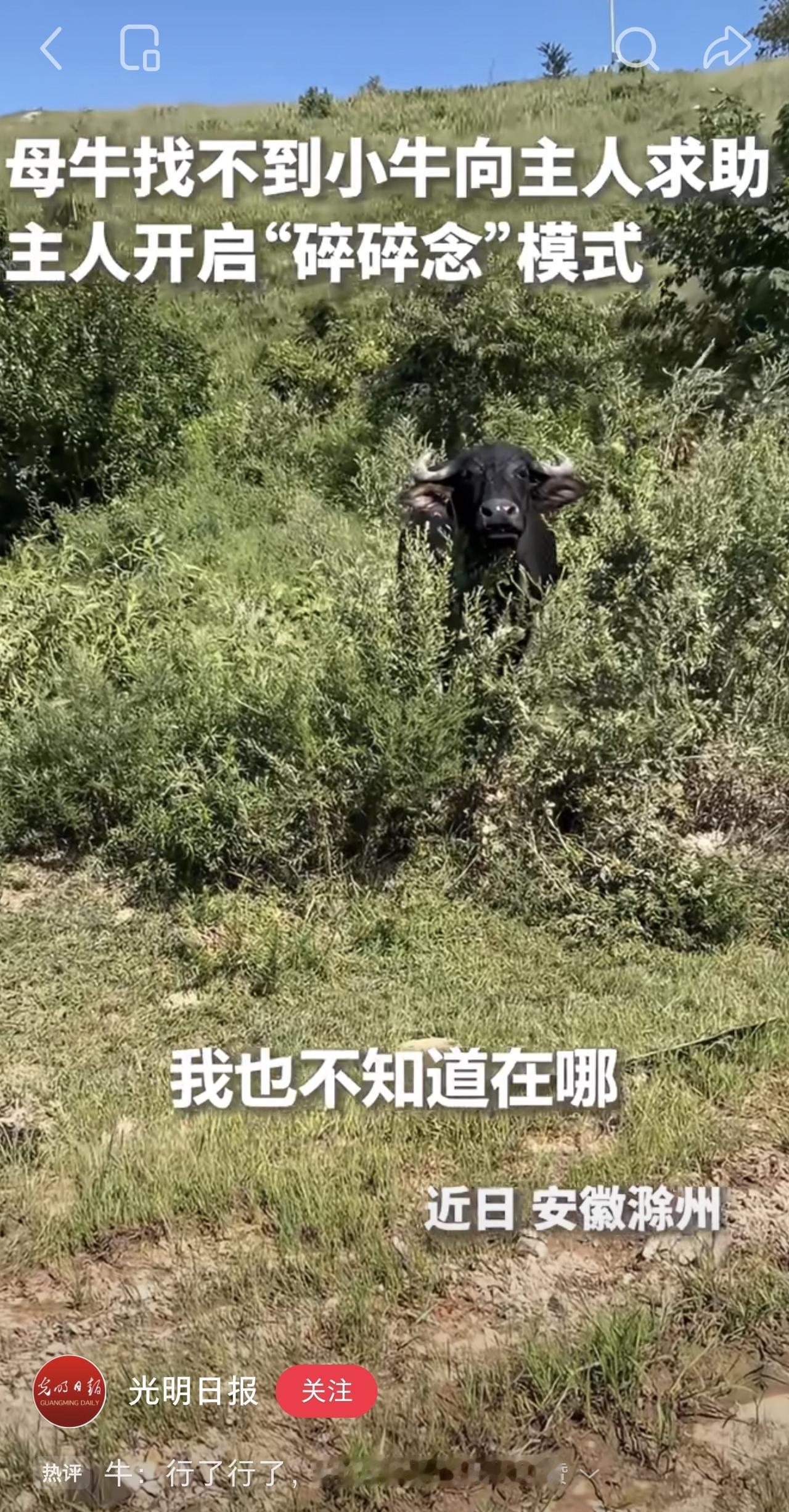 小红书“未来薯地计划”的推出，彻底重塑青少年网络空间，让孩子在快乐、有趣的“花园