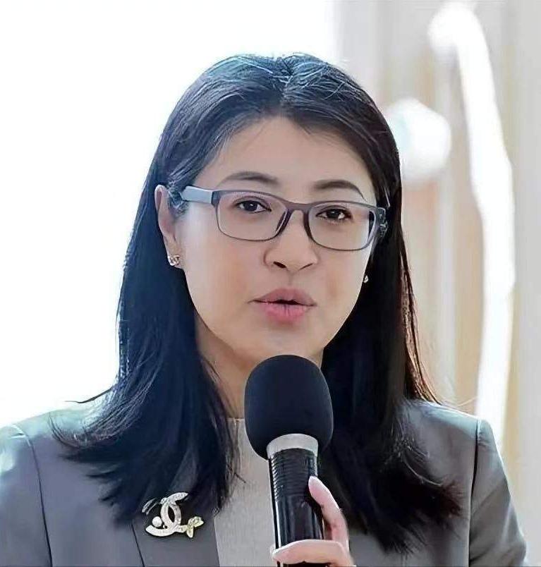 回厦门参加海峡两岸论坛的几位政界人士回台后会不会被民进党当局清算？这是大陆广大同