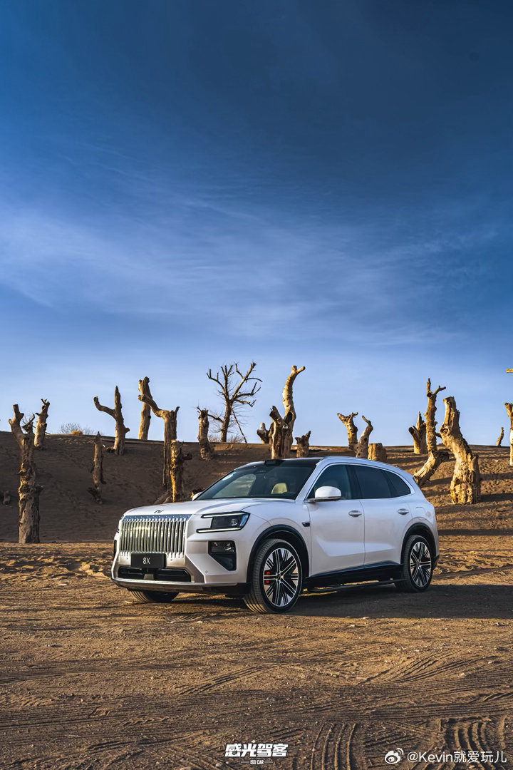 极氪8X官宣4月17日正式上市万众瞩目的极氪8X终于要上市了小订的数量足够多了预