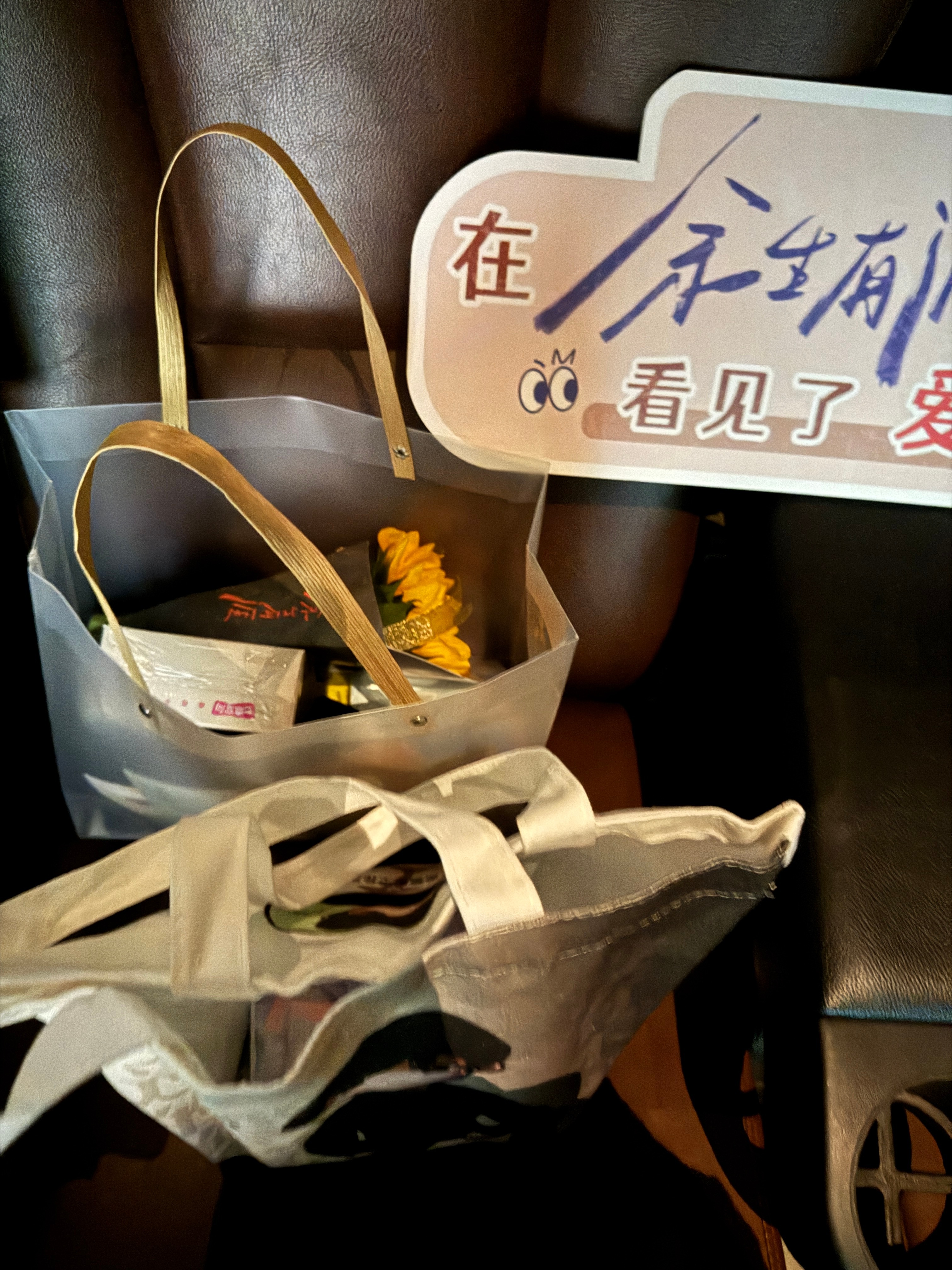 今天来余生有涯看张彬彬毛晓彤～🌻 ​​​