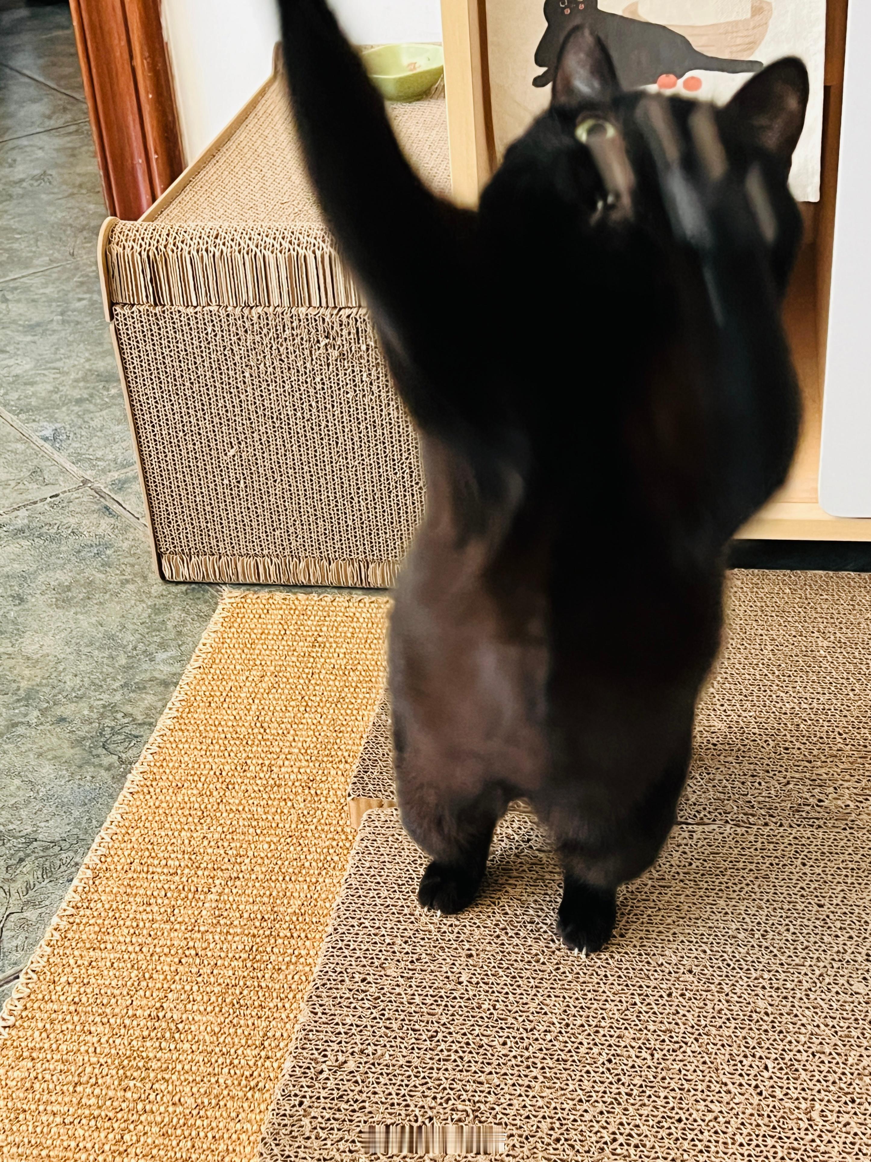 嘴嘴☺️蝦蝦不可以太可愛 ​​​