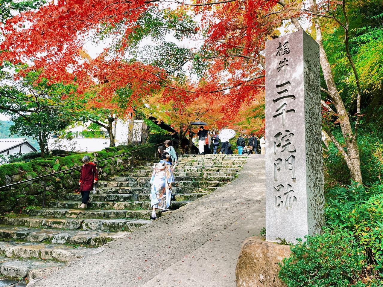 一夜入冬🧣
三千院的叶子红了👘