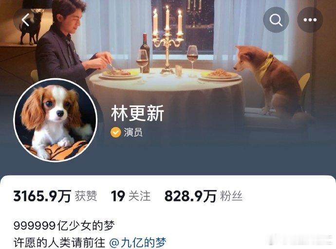 #林更新新简介#林更新新简介999999亿少女的梦，看来最近是被彩虹屁夸的有点飘
