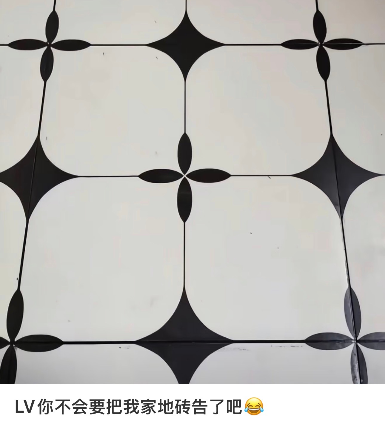 好怕LV告我家房子蚌埠住了，我真的刷到各种各样的恐慌