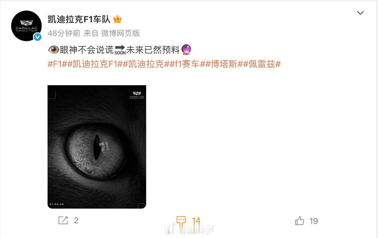 哦？难道说？？？F1