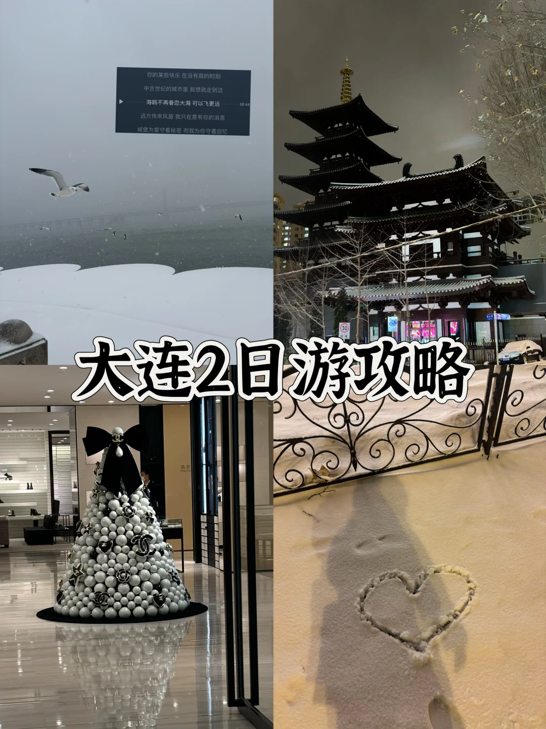 冬天的❄️大连一秒梦回情书。2日游攻略奉上