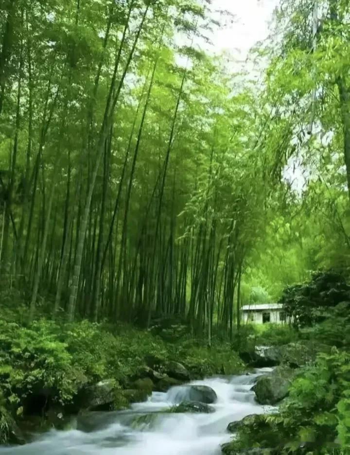《清平乐·心安是福》
 
晨晖轻洒，
粥暖香盈舍。
不逐浮华甘素野，
平安便是真