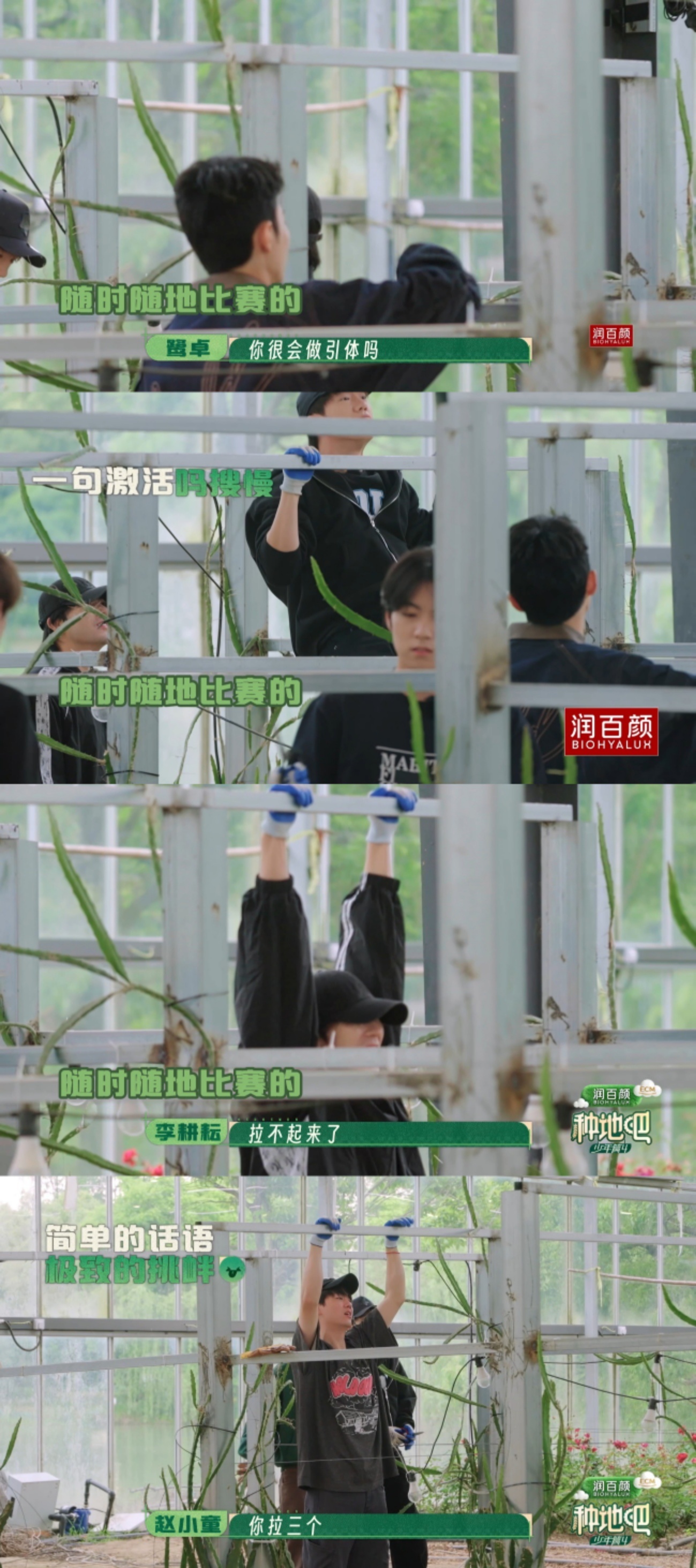 十个勤天对大棚就像我对我心肝种地吧 给玫瑰花搬家那会儿鹭卓卓沅骑车满后陡门找地方