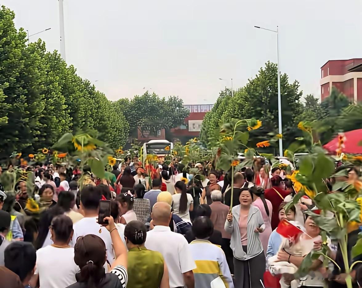 徐州一阿姨，卖向日葵卖出2000多元，定价98.5元和21.1元，分别寓意985