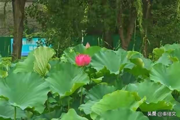 荆州十大城市绿道盘点：散步骑行皆宜，家门口的天然氧吧
 
想运动健身却没合适路线