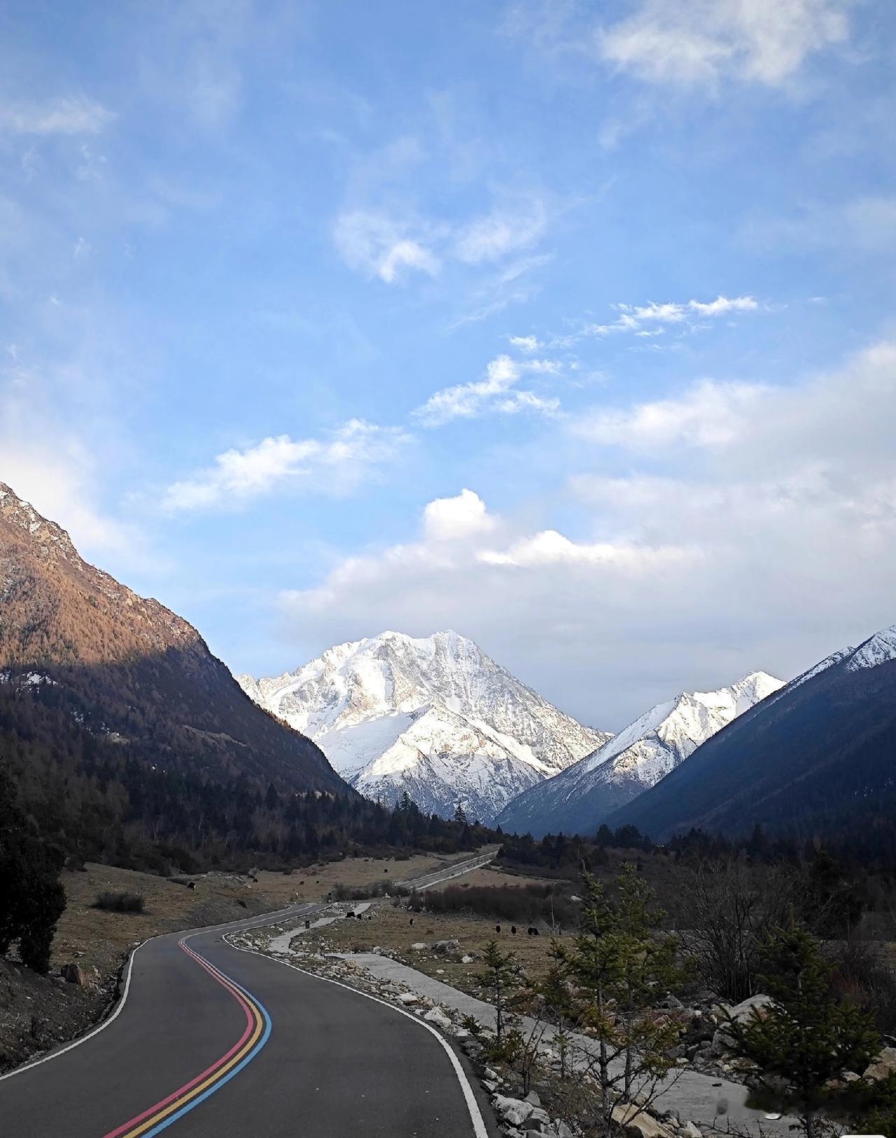 知不足而奋进，望远山而前行，余生只管向阳而行
 
人不可能每一步都正确，我不想回