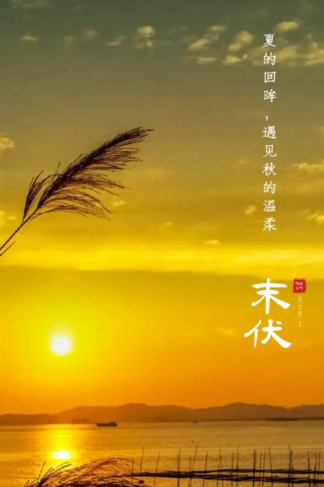 鹧鸪天  末伏
暑气未消秋虎狂，
蝉声犹噪日偏长。
荷塘渐老红妆褪，
柳岸初生玉