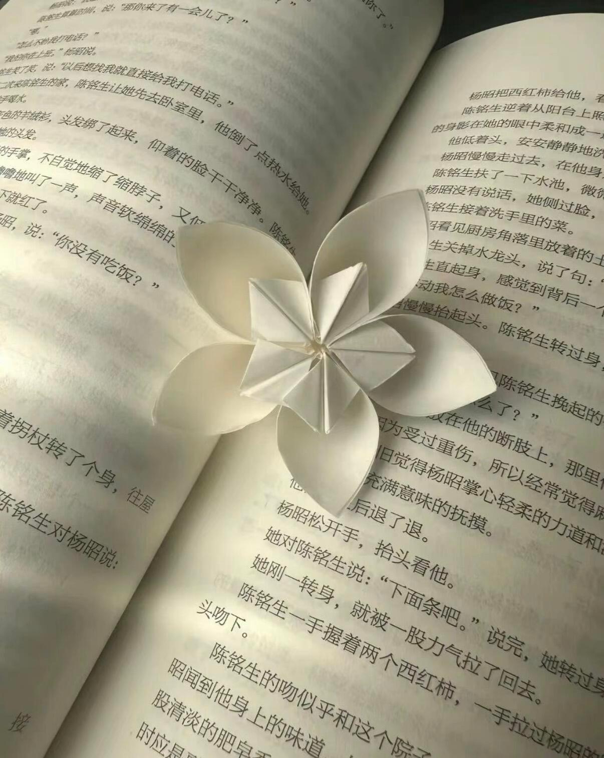 【背景图】分享˚₊✯͡ 🜚 *·. 绿色|白色|清新|米色|夏日|文艺|四叶草
