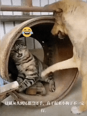 1：脾气这么好的吗？这么的听话。
2：小姐姐怎么了？这么伤心？