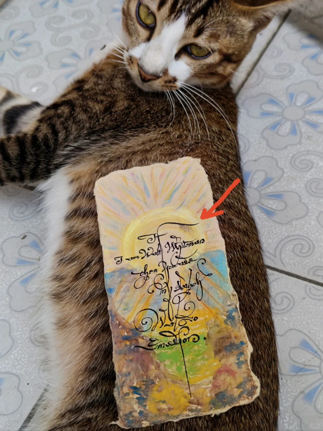 新画的书签芭比Q了😵