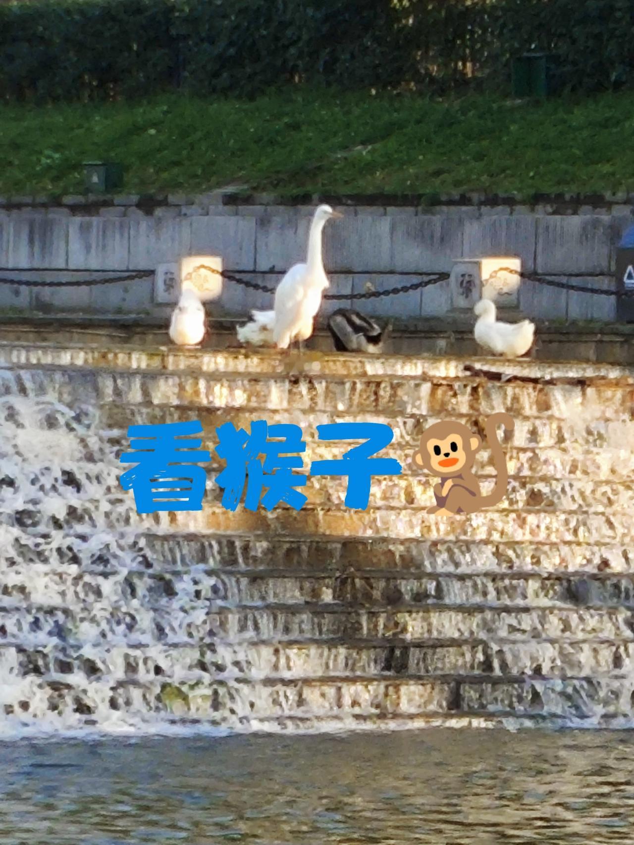 打日本不是打日本

一个区区的小日本，不值得东大大费周章。奈何自己出来作死，只能