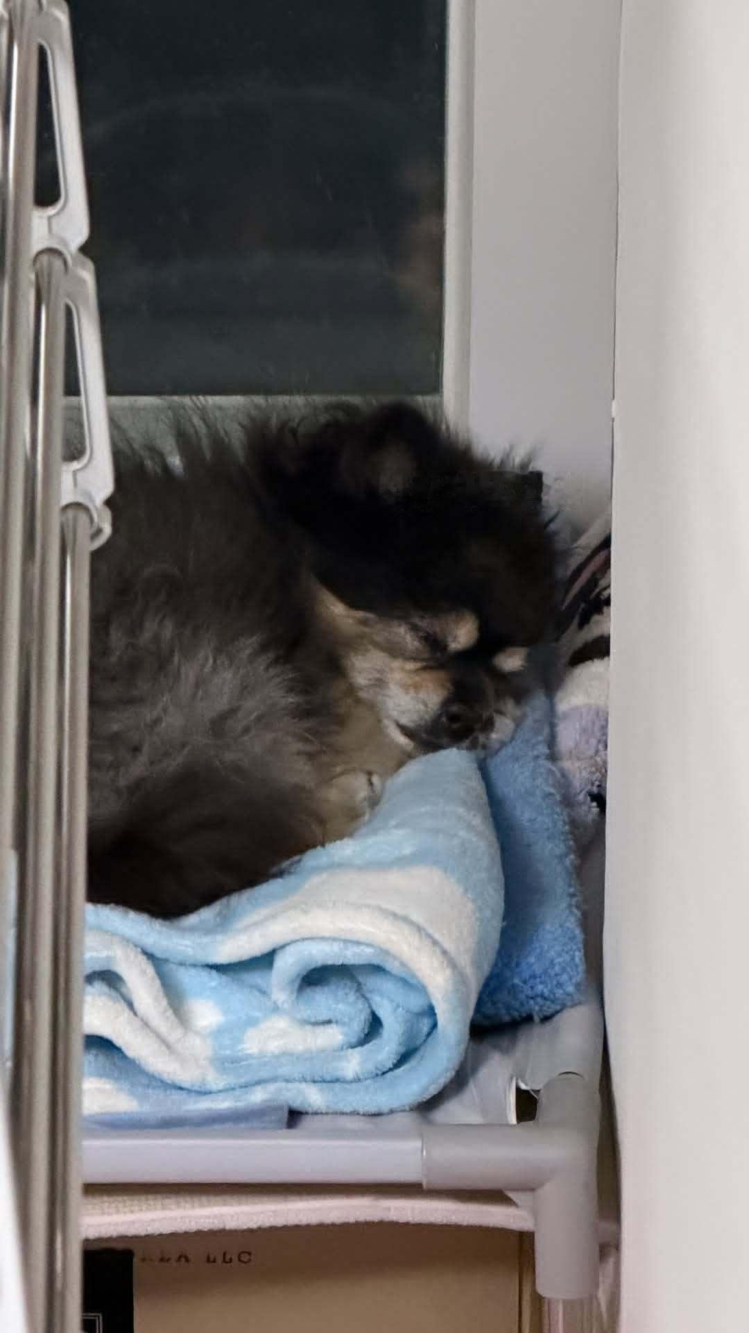 “CB百蓝_。251224金钟云 ins story更新：我爱你 不点点 