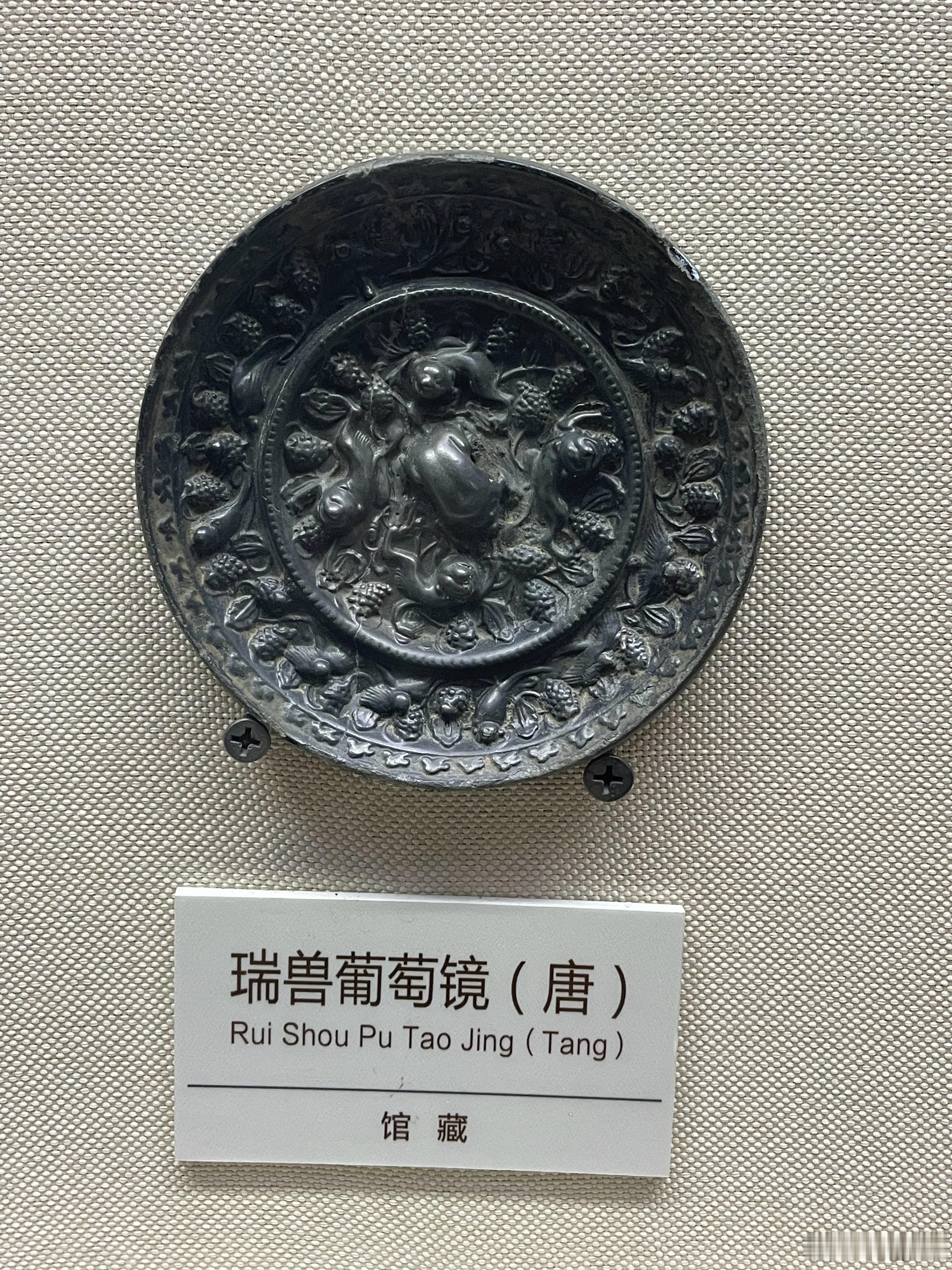 感觉到身体老了的一大症状就是现在明显不如以前抗冻了啊，0度-5度附近就居然觉得有