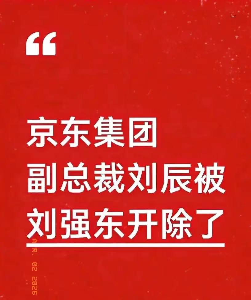 东哥这回是真的不留情面了。

多家媒体都锤实了，京东集团副总裁刘辰直接被开除。
