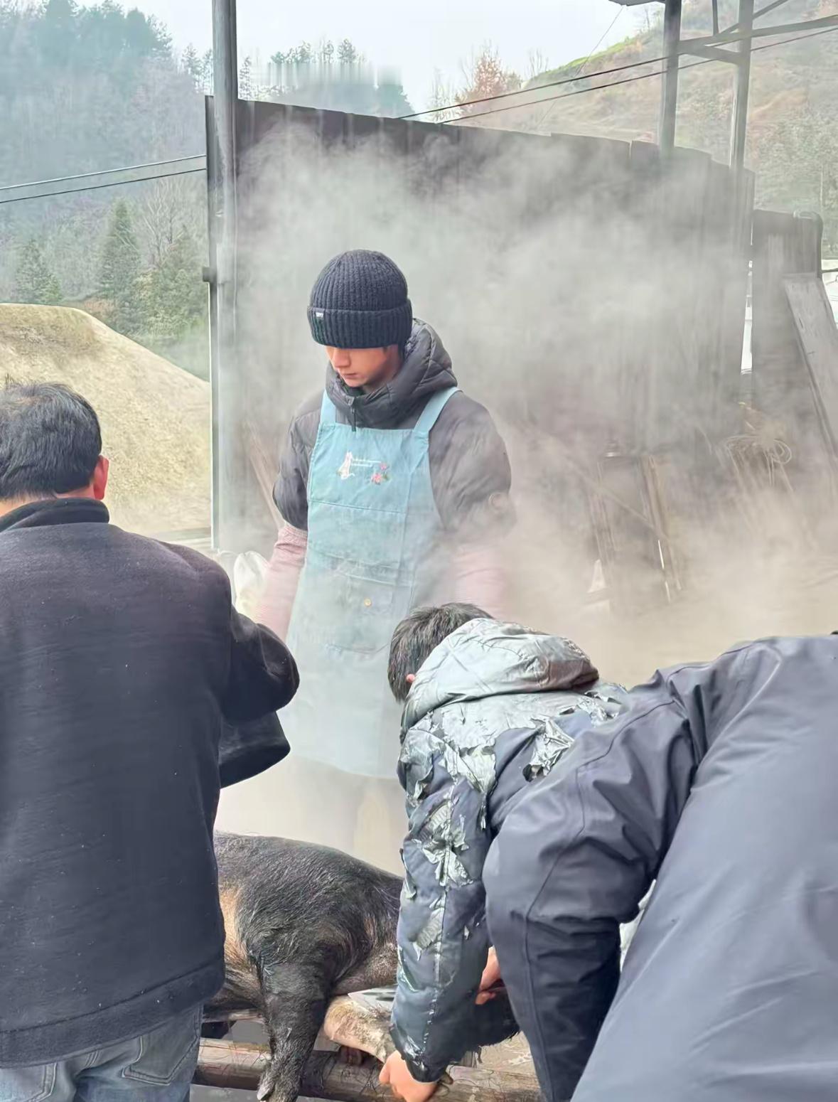 王一博去杀猪了？ 