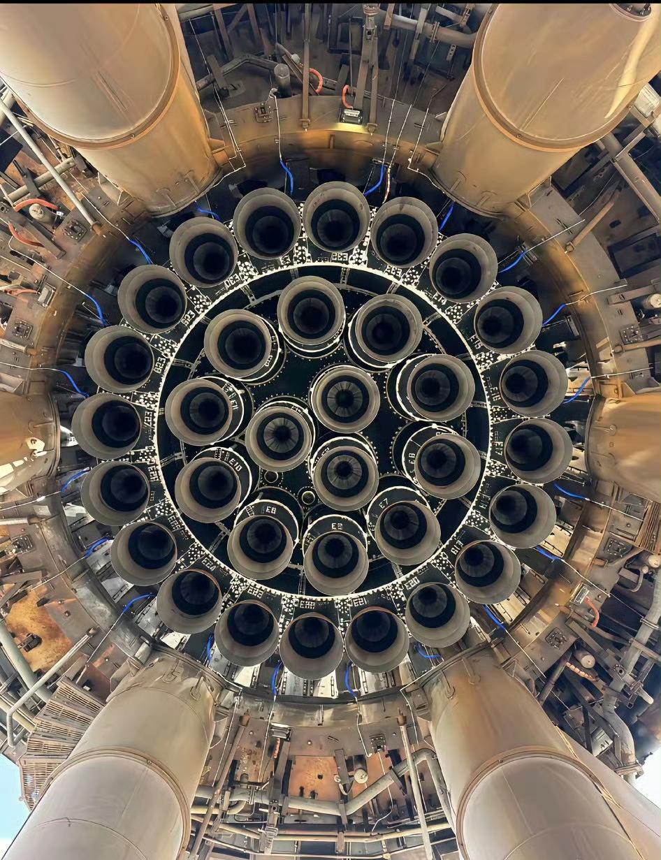 我的天！这密密麻麻的“菊花”，看一眼就头皮发麻！

这不是科幻电影里的外星科技，