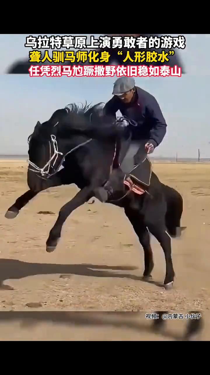 乌拉特草原上演勇敢者的游戏，聋人驯马师化身