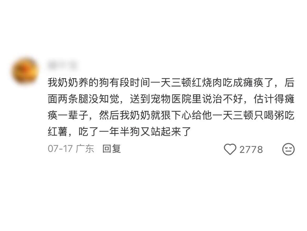果然，没有奶奶养不胖的生物；可她一旦狠下心，要把狗子重新养回来——狗生的下半场才