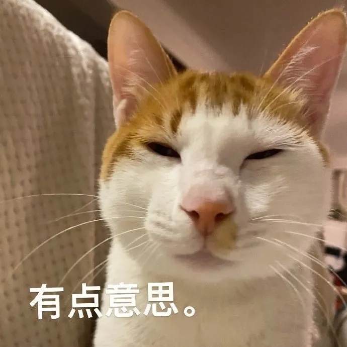 深圳生4胞胎家庭仍因恶评不悦 [允悲]网络上有好几个多胞胎家庭众筹养娃，生娃之前