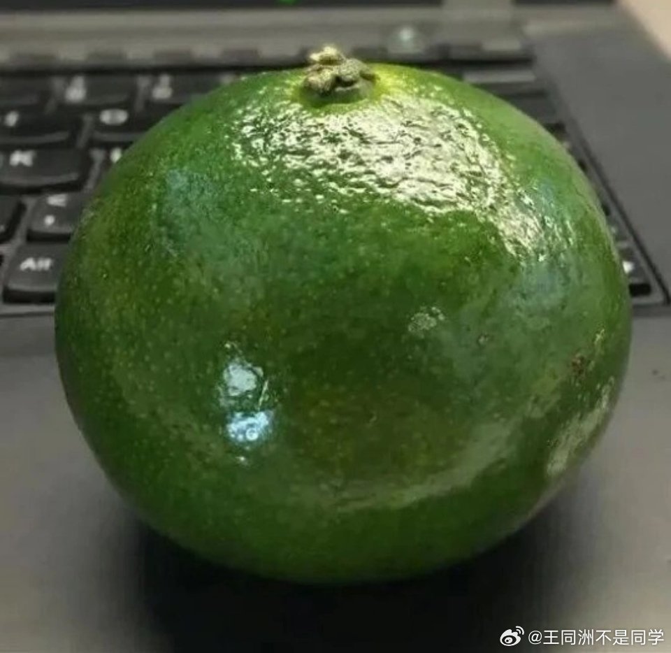 被时代淘汰的水果青橘子，你有多久没见过了？还记得小时候，这是小学午餐的配套水果之