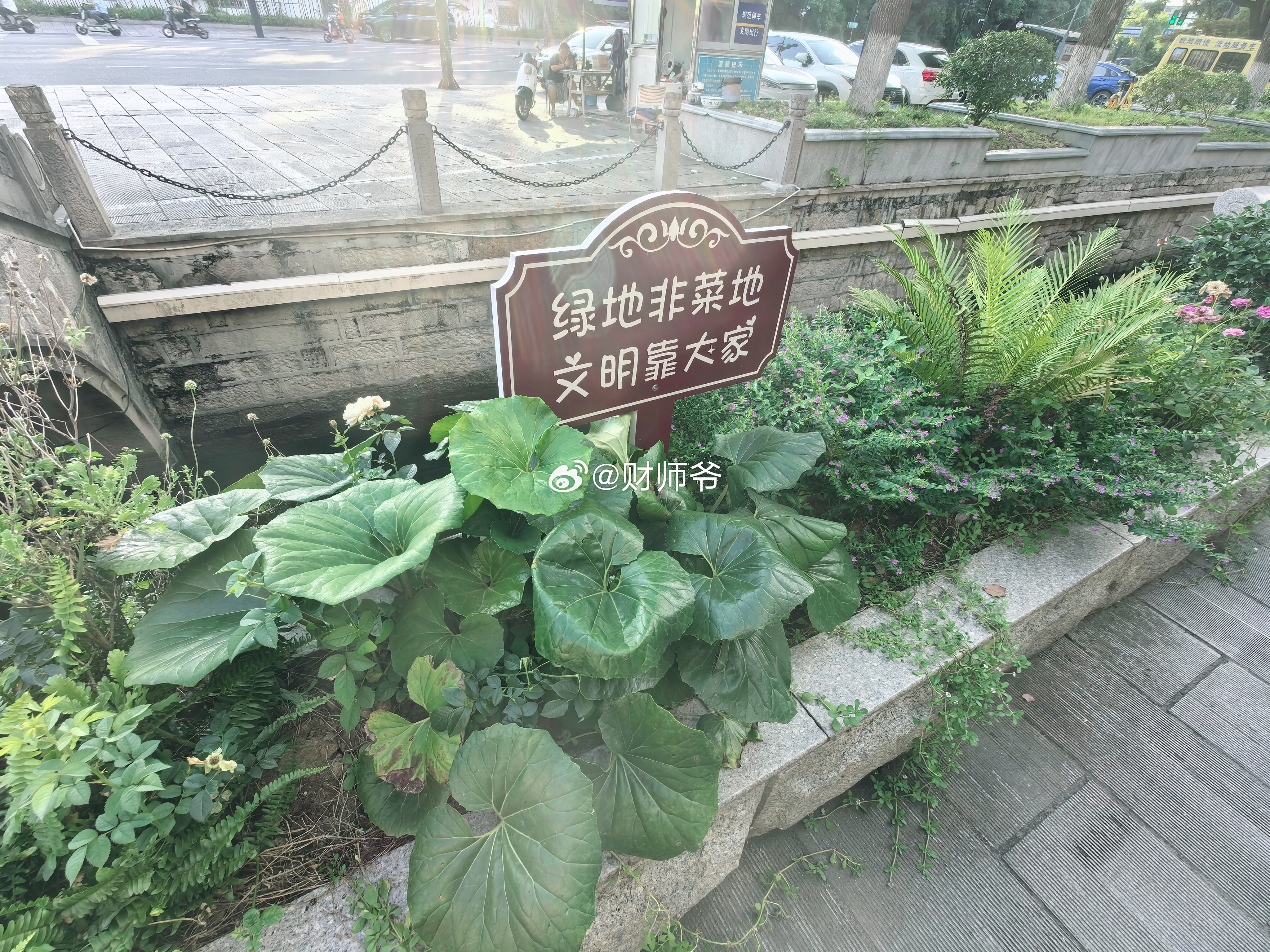 绿化带的这种“文明标语”，北方城市应该看不到。 绍兴