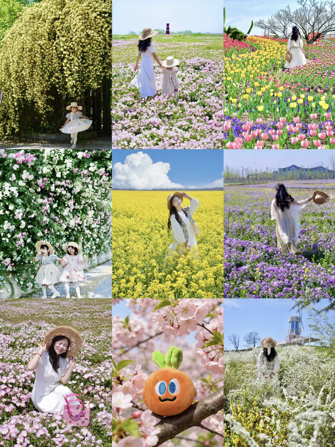 合肥春季赏花日历📆本地人私藏 ❼条小众路线