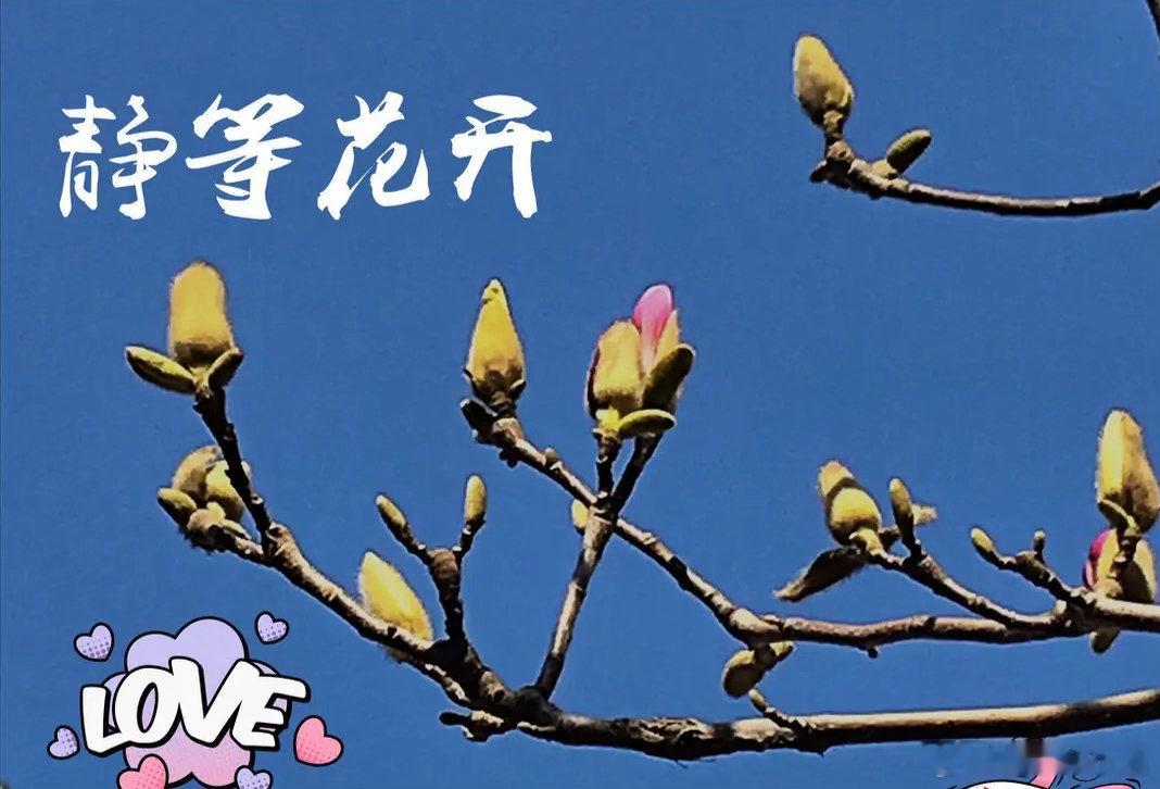 $立昂微 sh605358$ 硅片核心车间（金瑞泓衢州/嘉兴）12寸重掺硅片满产