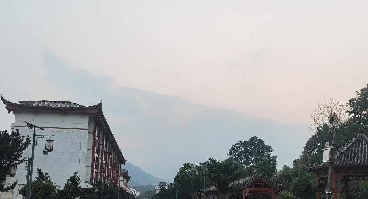 你见过吗，真正的修行人？
我师父就是。
他所做的一切都是为了利益众生。
为自己考
