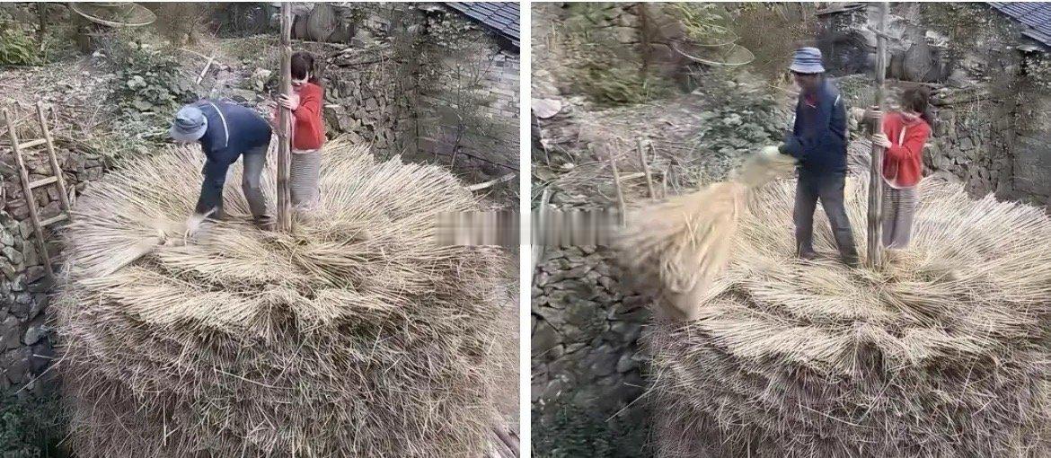 我敢打赌，城里人肯定不知道他们在干嘛！ ​​​