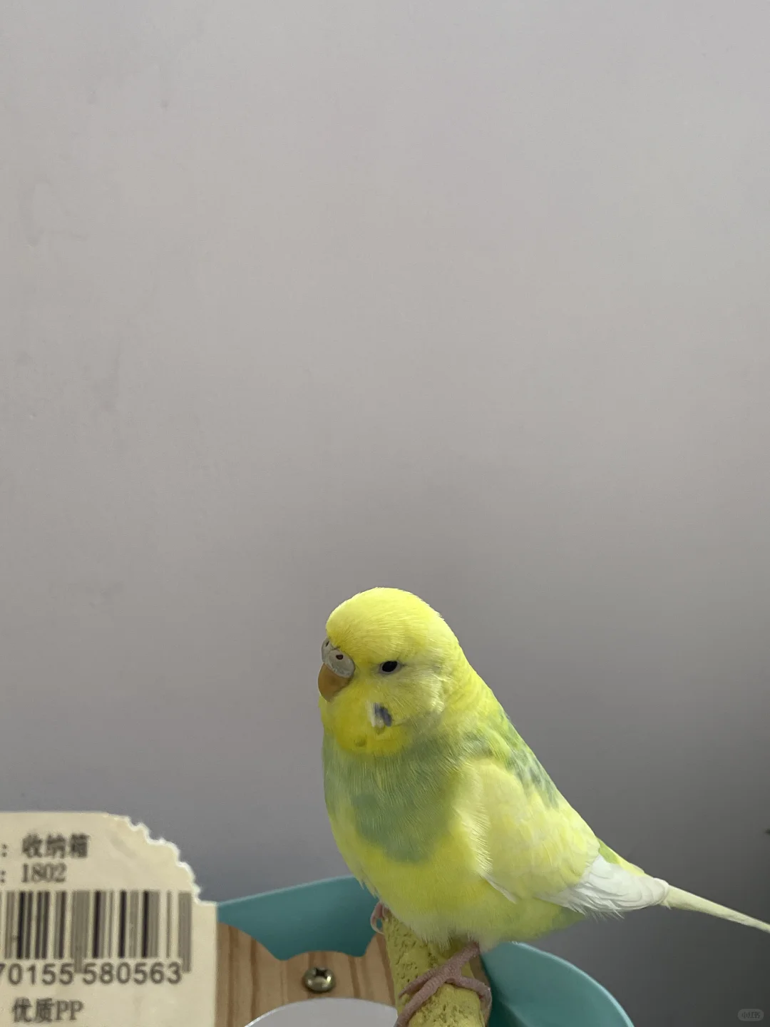圈出一些可疑人物🐤