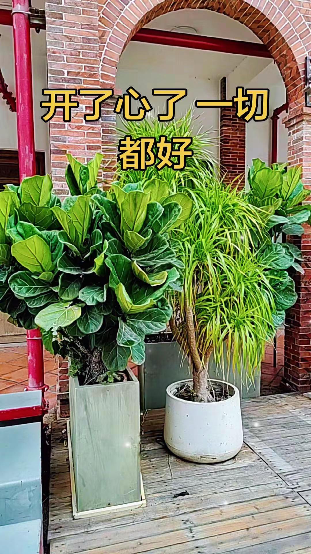 循环播放的一首好听的歌