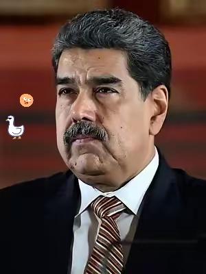 快讯！
委内瑞拉突然宣布了
​12月16日，委内瑞拉政府当日向联合国安理会正式提