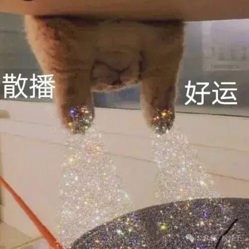 ✨✨✨✨✨✨6666 