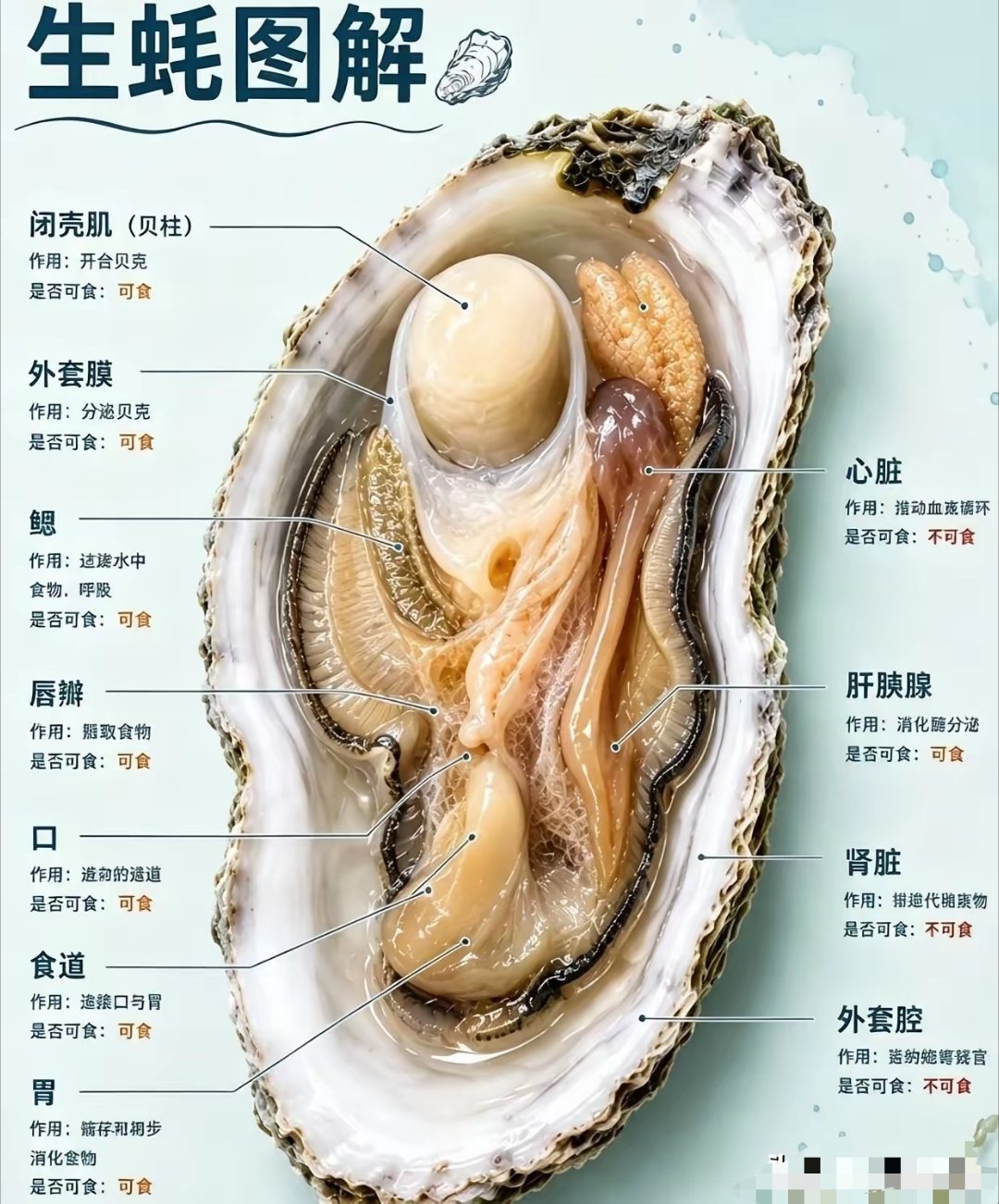 晚餐，美容院 