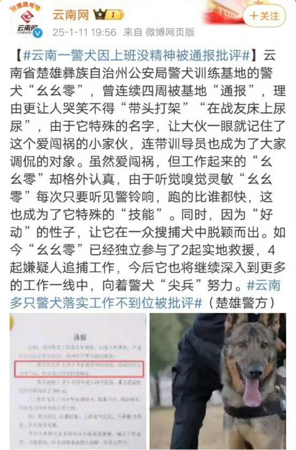 警犬在战友床上尿尿连续4周被通报 首先人家只是一个一岁左右的宝宝，其次怎么能全网