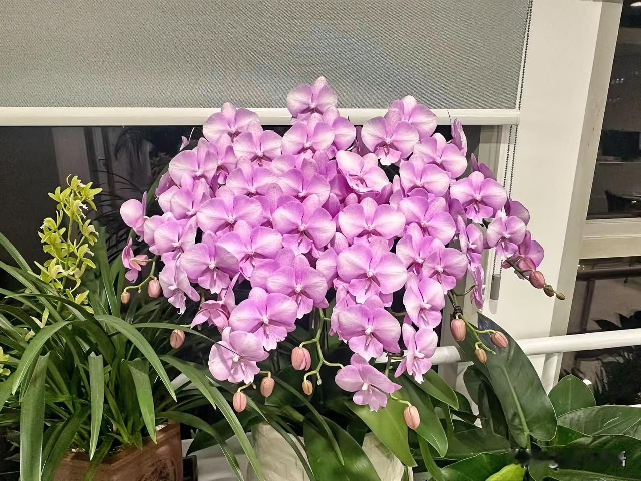 一位说话很准的老人说：

一个女人要是说话、做事干脆利落，走路风风火火的，多半这