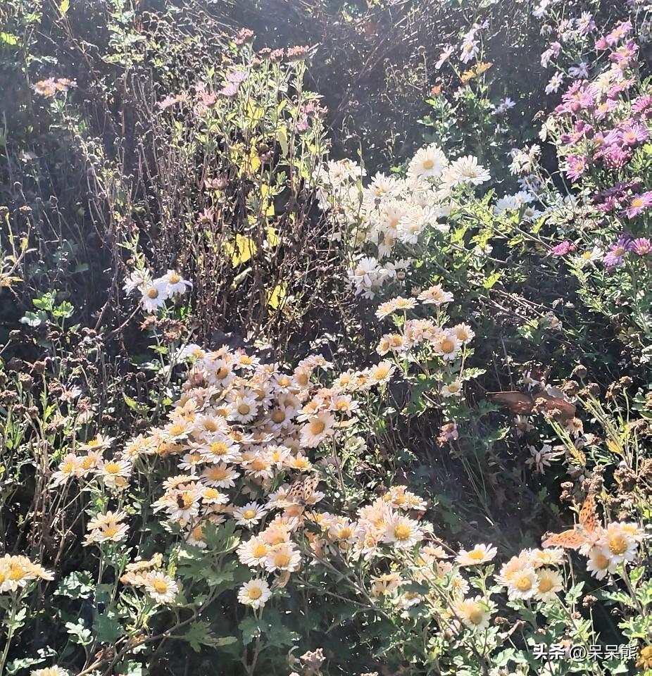 真诚。
这个品质很重要，在当今这个品质很难得，也很珍贵，如果碰到真诚的人就好好珍