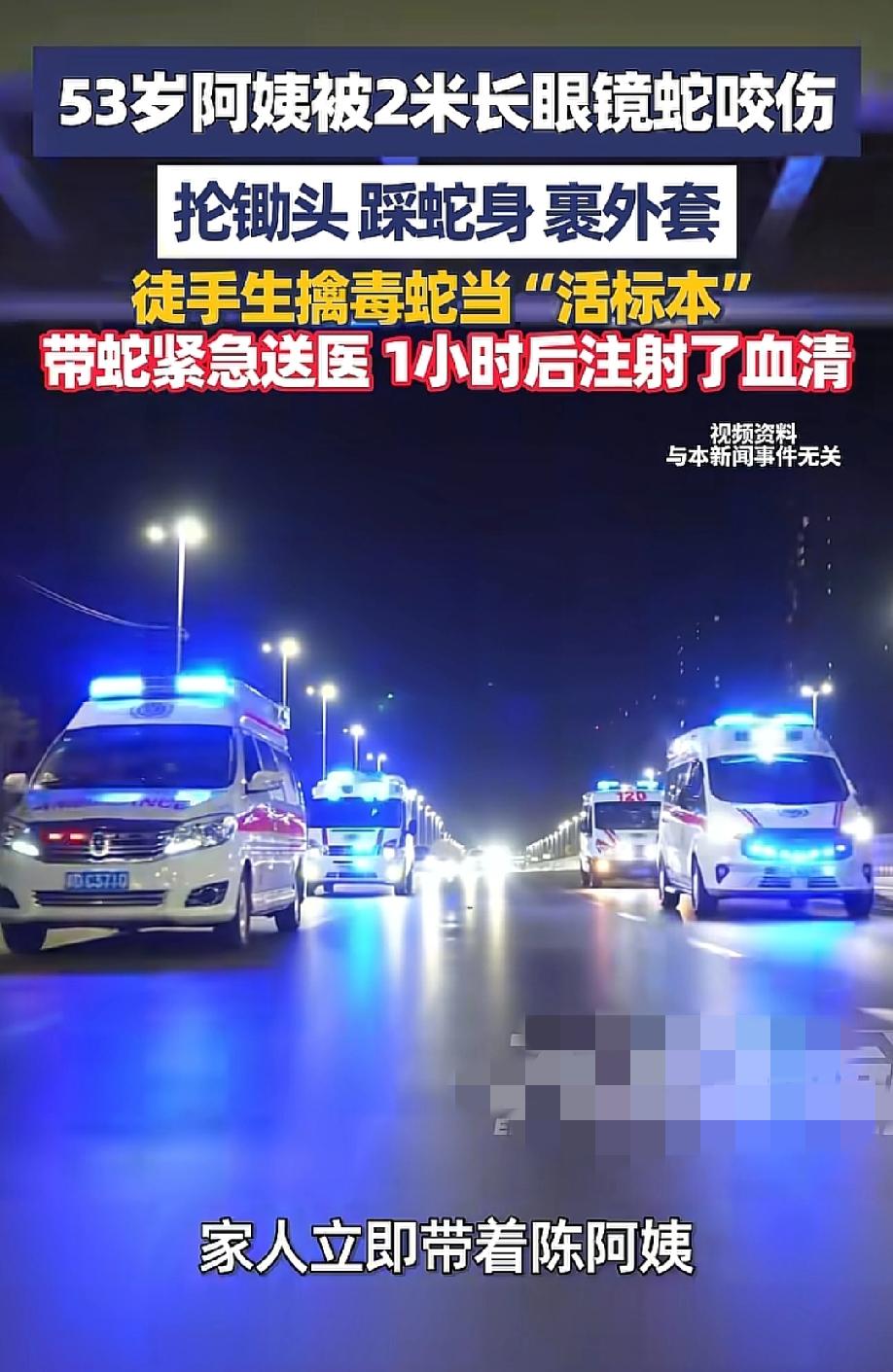 这阿姨太狠了。5月19日，大象新闻报道，福建泉州惠安县53岁陈阿姨，在自家菜地一