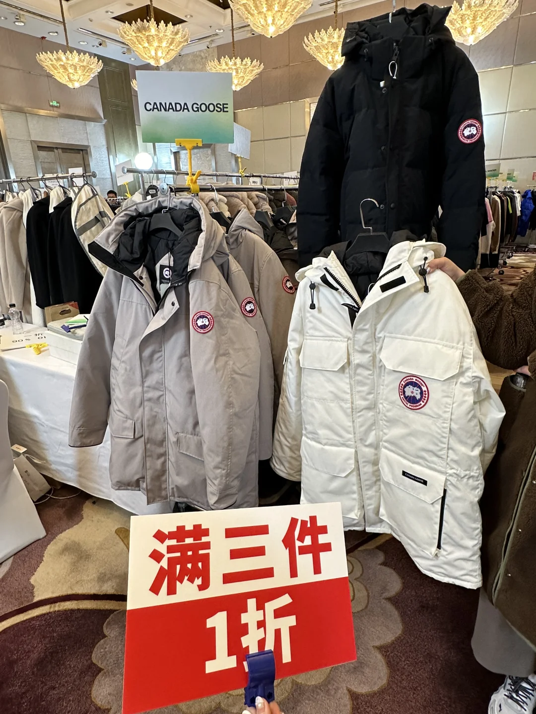 北京金融街！！预计明早有10w人来抢大🦢！！